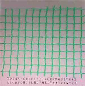 Your Intestines - Untitled (Green)