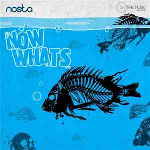 Nosta - Now What's