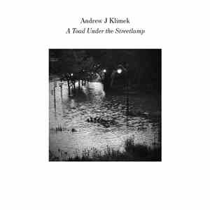 Andrew J Klimek - A Toad Under The Streetlamp