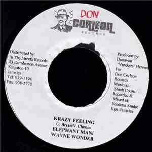 Elephant Man & Wayne Wonder - Krazy Feeling