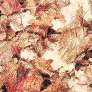 The Autumn Leaves Fall In - The Autumn Leaves Fall In