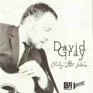 David Gray - Only The Wine