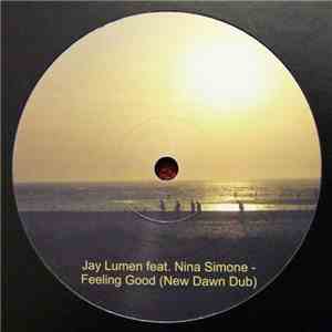 Jay Lumen Feat. Nina Simone - Feeling Good