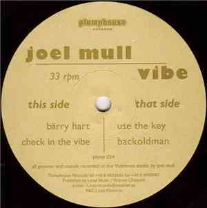 Joel Mull - Vibe