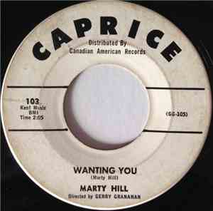 Marty Hill  - Wanting You