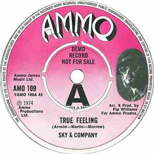Sky & Company - True Feeling