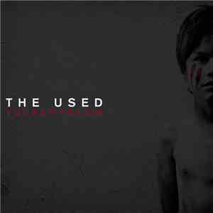 The Used - Vulnerable (II)
