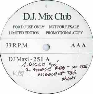 Various - DJ Maxi Single 251