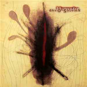 David Sylvian - I Surrender
