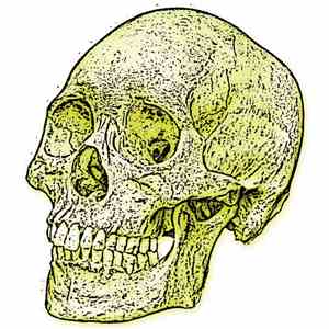 SRVTR / Consume And Expire / Industrial Steve / Soulmate From Space - The Yellow Skull