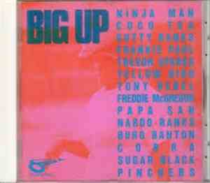 Various - Big Up