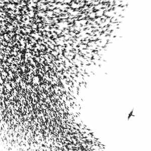 Wilco - Sky Blue Sky