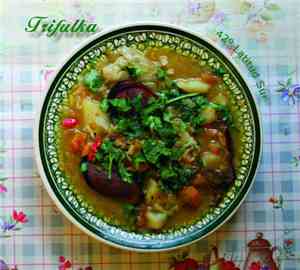 Trifulka - 42° Latitud Sur