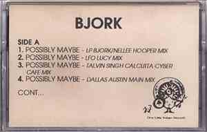 Bjork - Possibly Maybe