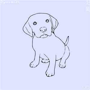 It's Dynamite - Senpai's Dog