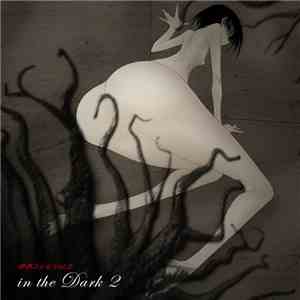 Various - In The Dark 2
