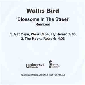 Wallis Bird - Blossoms In The Street (Remixes)