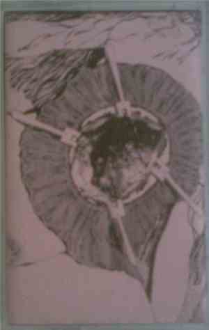 Carcass Grinder / Impregnate Trichomonas - Split Live Tape