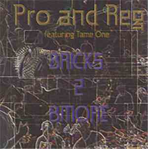 Pro and Reg - Bricks 2 Bmore