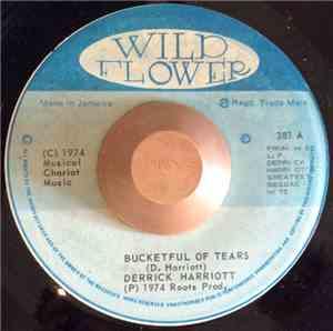 Derrick Harriott - Bucketful Of Tears