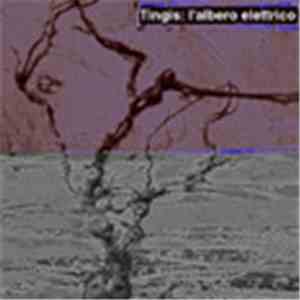 Tingis - L'Albero Elettrico
