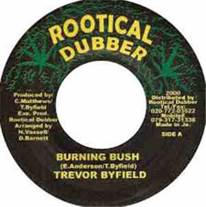 Trevor Byfield - Burning Bush