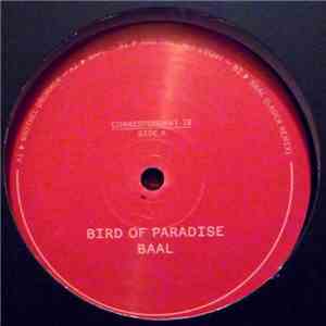 Bird Of Paradise - Baal