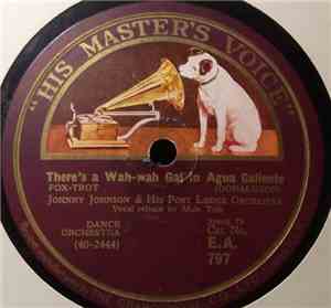 Johnny Johnson & His Port Lodge Orchestra - There's A Wah-Wah Gal In Agua Caliente / I'd Like To Find The Guy That Wrote The Stein Song