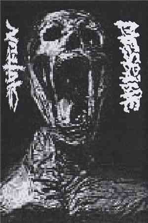 Shitfun / Mesrine - Split Tape