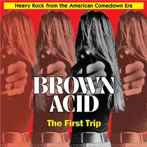 Various - Brown Acid: The First Trip