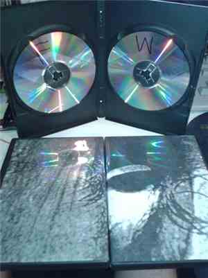 Folter  / Willows  - Split