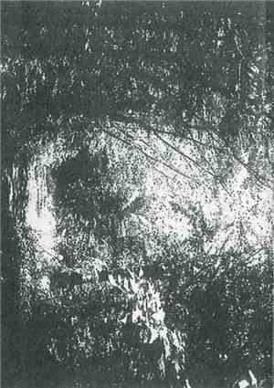 Harsh Supplement / Horrible Mess - Harsh Supplement / Horrible Mess
