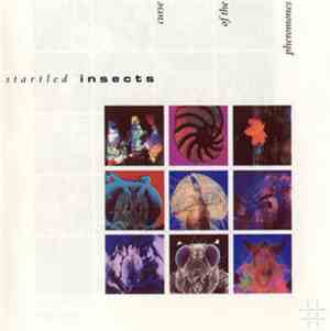 Startled Insects - Curse Of The Pheromones
