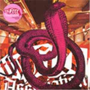 The Free Association - Everybody Knows