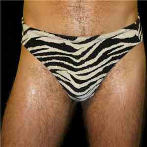 Hunx And His Punx - Gay Singles