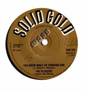The Pleasers - You Know What  I'm Thinking Girl