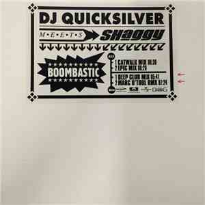 DJ Quicksilver Meets Shaggy - Boombastic
