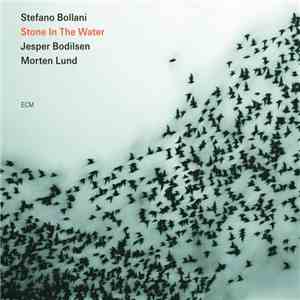 Stefano Bollani Trio - Stone In The Water