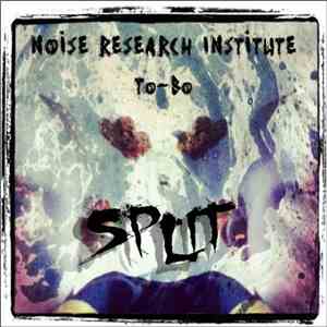 Noise Research Institute / To-Bo - Split