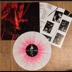 Antaeus - De Principii Evangelikum