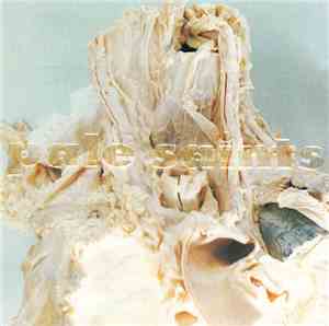Pale Saints - In Ribbons