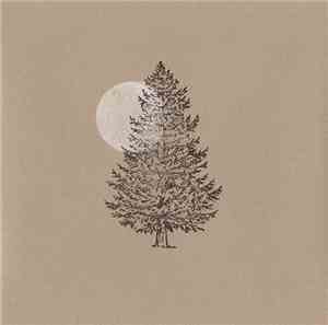Cabinet Of Natural Curiosities - Searchlight Needles