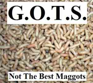 G.O.T.S. - Not The Best Maggots