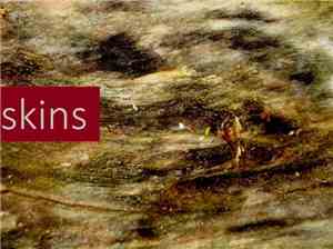 The Merricks - Skins