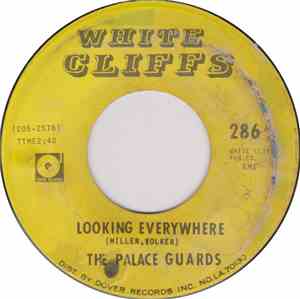 The Palace Guards - Looking Everywhere