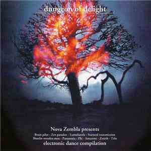 Various - Dungeon Of Delight