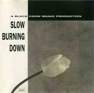Alexandru Andries - Slow Burning Down