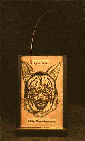 Bryan Lewis Saunders & Raymond Dijkstra - Le Bobcat (Artist Edition)