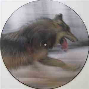 Dave Clarke - The Wolf