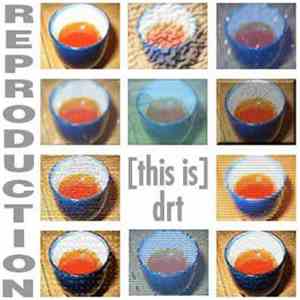 [this is] drt - Reproduction